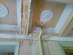 Фото из телеграм-канал «Сойкапересмешница»