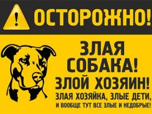 Фото с сайта chicat.ru