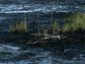 Фото с сайта www.fgu-radiovetlab.ru